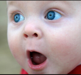 Co? Znowu przegraliśmy?