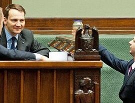 Pluskwa, czyli karaluch